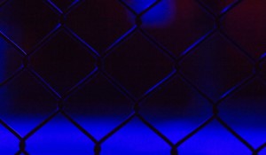 The UFC and Francis Ngannou Standoff: Perspectives and Aftermath